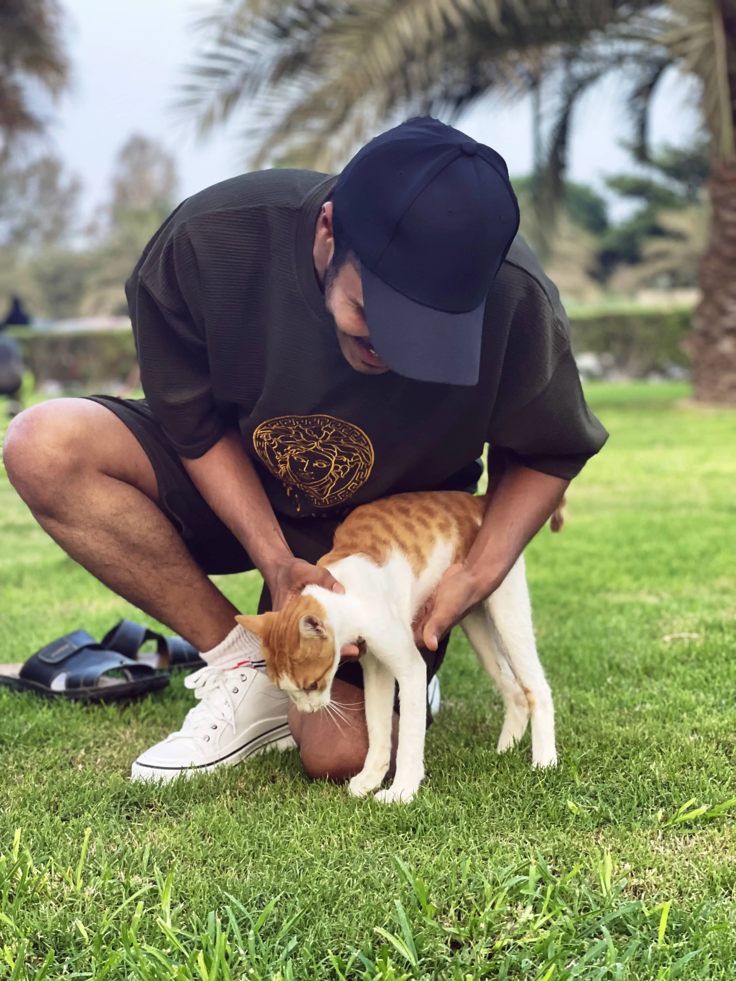 playing with a cat